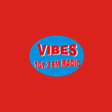 Vibes 101.3 FM logo