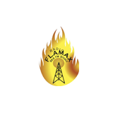 Radio Flamax logo