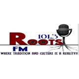 Roots FM 101.3 logo