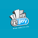Radio NJOY 91.3 logo
