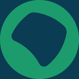 Rádio Nacional Alto Solimões logo