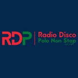 Radio Disco Polo Non Stop FM logo