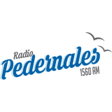 Radio Pedernales logo