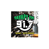 Tavapy logo