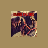 Radio Poitou logo