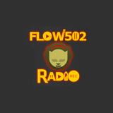 Flow 502 Radio logo