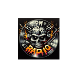 Pm Radio logo