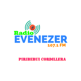 Radio Evenezer FM 107.1 logo
