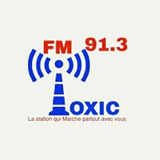 Radio Toxic FM 91.3 logo